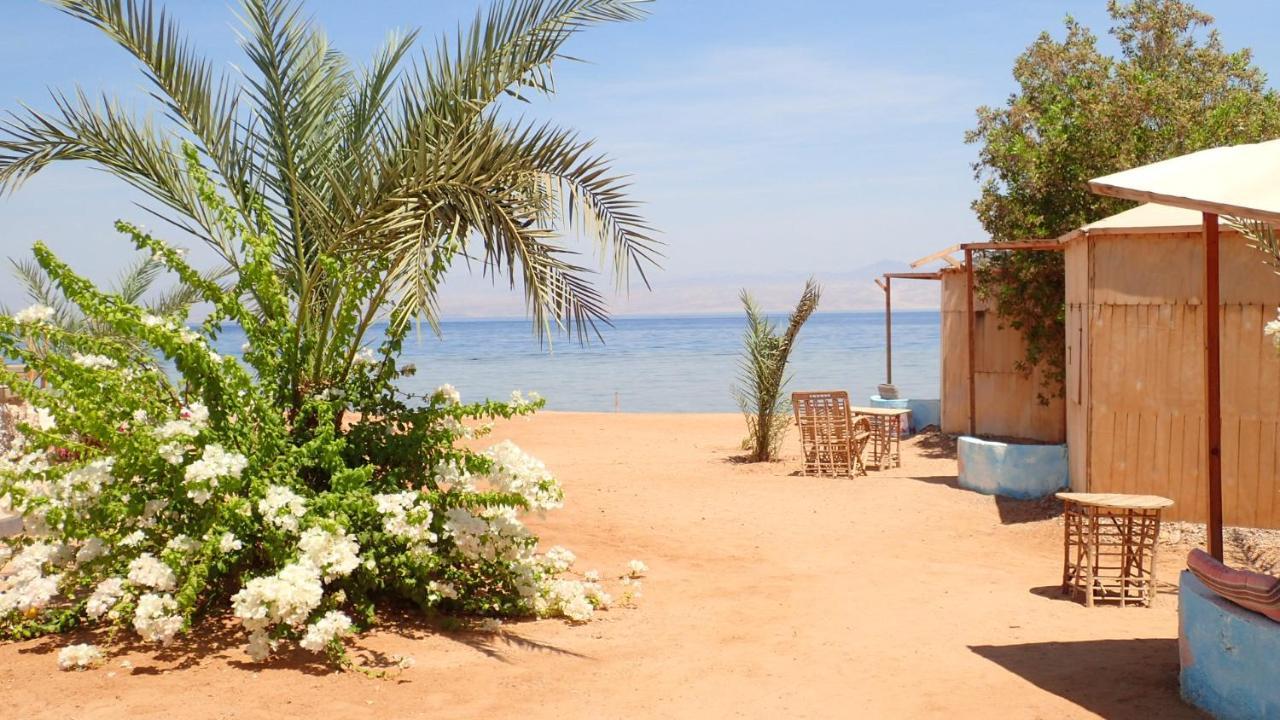 Bedouin Star Hotel Таба Екстериор снимка