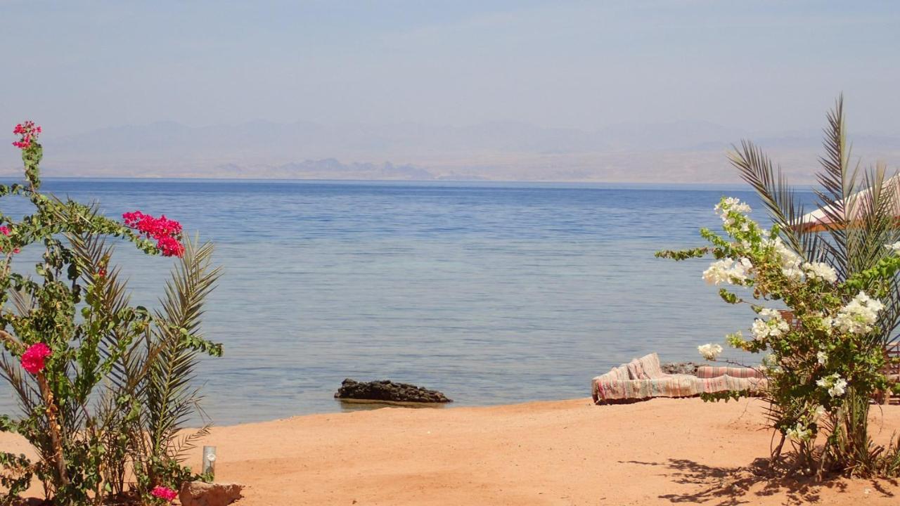 Bedouin Star Hotel Таба Екстериор снимка