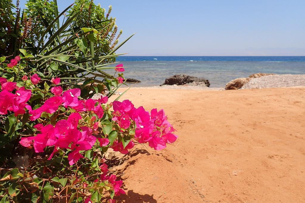 Bedouin Star Hotel Таба Екстериор снимка