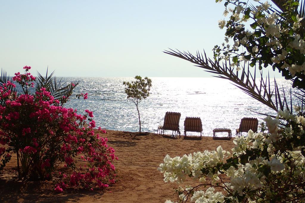 Bedouin Star Hotel Таба Екстериор снимка