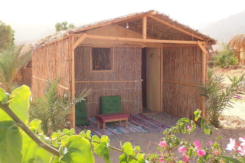 Bedouin Star Hotel Таба Екстериор снимка