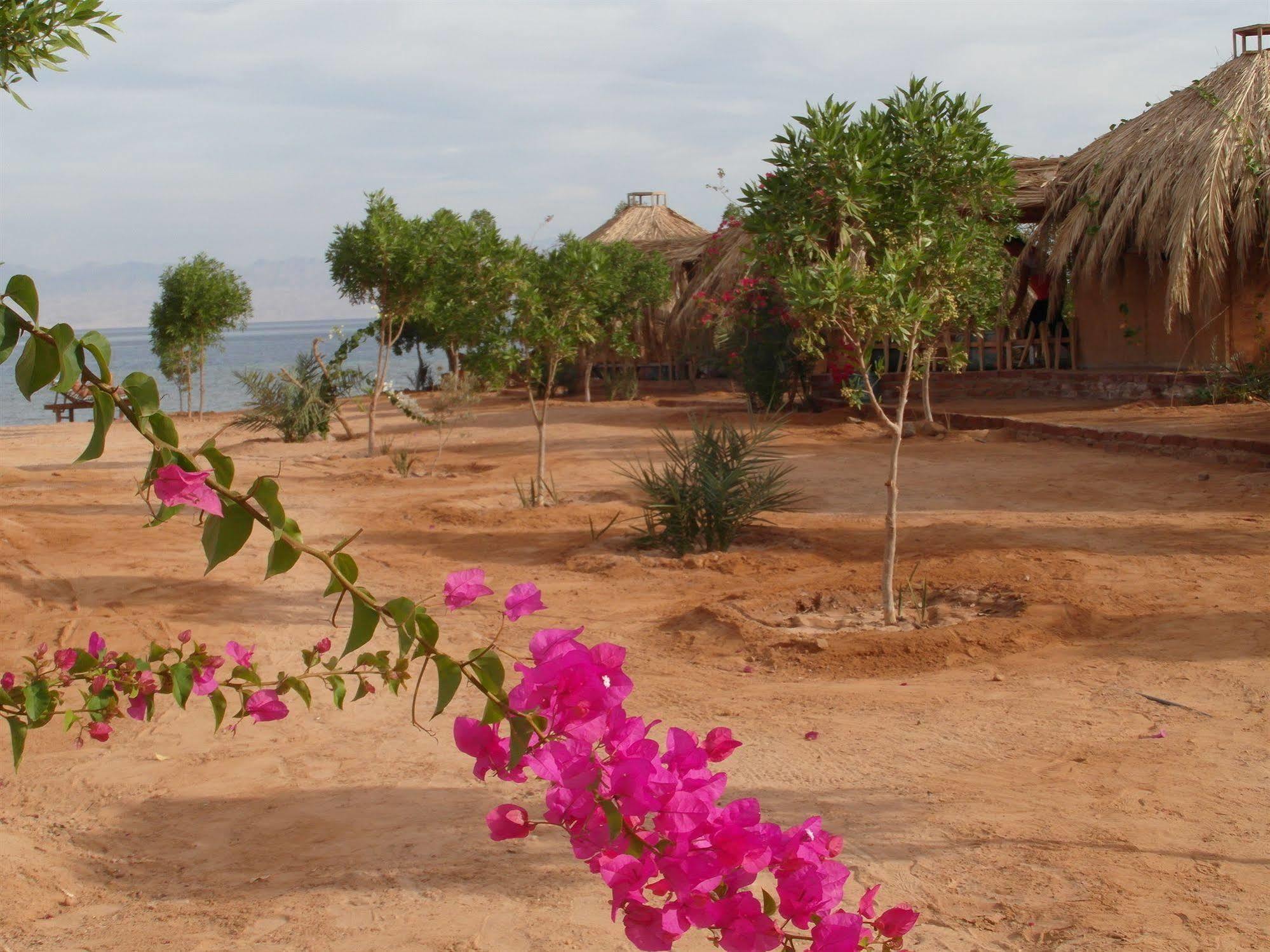 Bedouin Star Hotel Таба Екстериор снимка