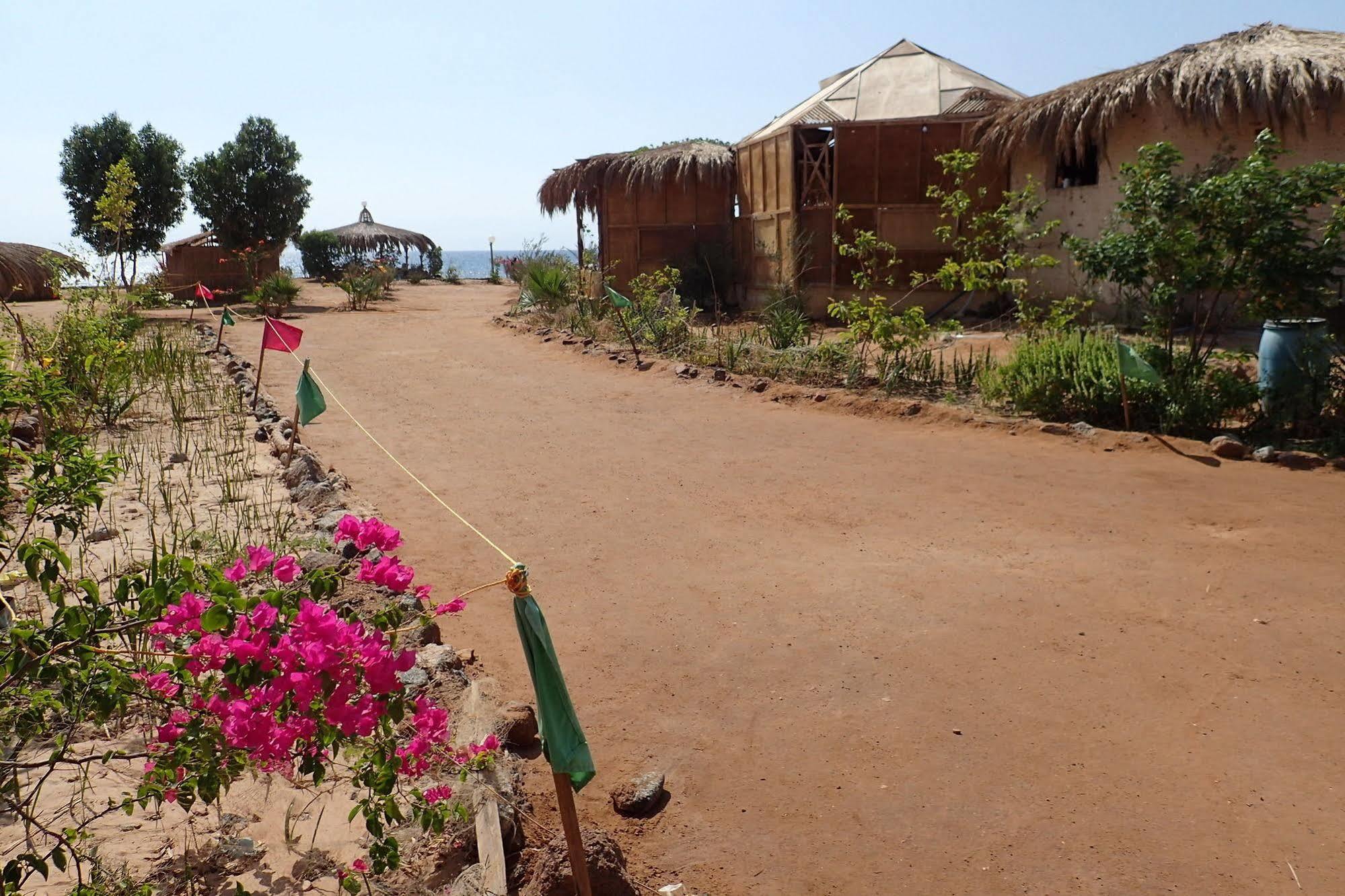 Bedouin Star Hotel Таба Екстериор снимка