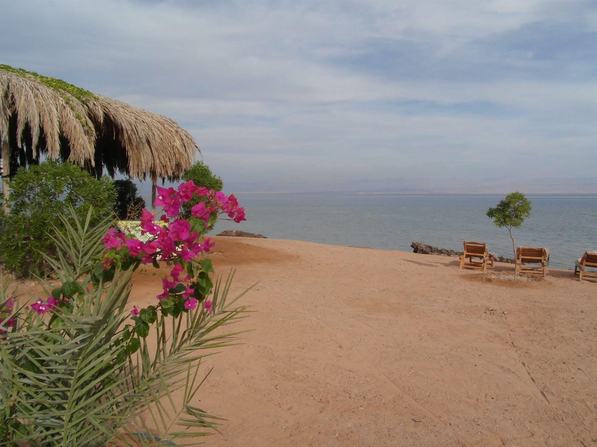 Bedouin Star Hotel Таба Екстериор снимка